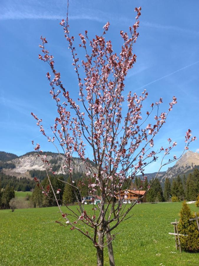 Am Schwand Lägenhet Grän Exteriör bild