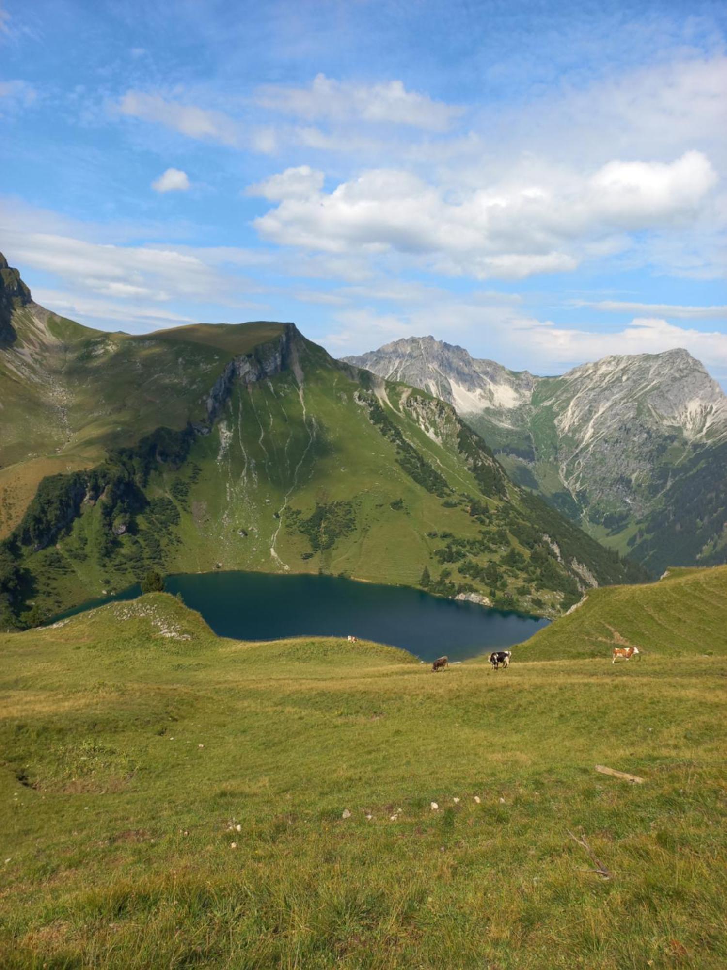 Am Schwand Lägenhet Grän Exteriör bild